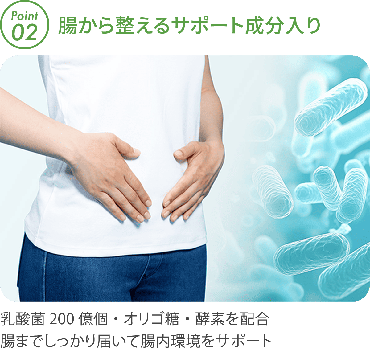乳酸菌とお腹に手を添える人